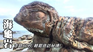 Get off the car and walk for 60 seconds to easily reach the latest hot new attraction ~ Turtle Rock by Tony Huang 108,833 views 1 month ago 9 minutes, 40 seconds