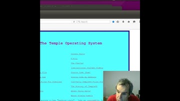 De vogel 🐦 en de monitor 📺