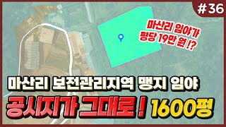 [#36] 송산그린시티 인근 공지시가 그대로 나온 임야 토지 // 송산 에덴부동산
