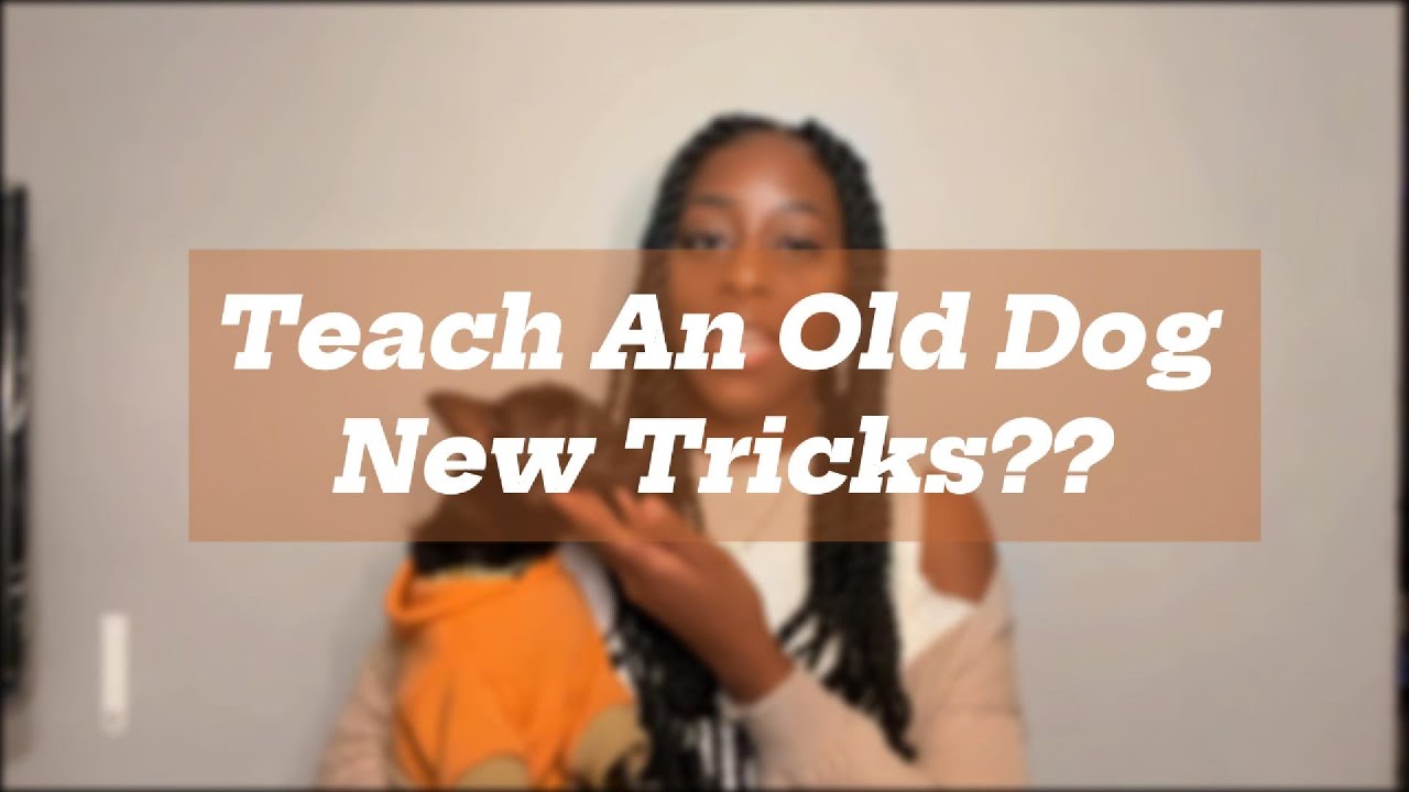 Teach An Old Dog New Tricks??? - YouTube