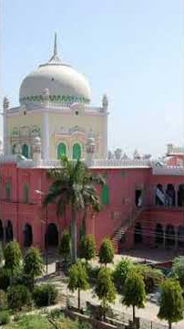 janne janna rhamt lil alamin muhammadﷺ