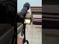 Optical Zoom vs Digital Zoom – The Truth You Need to Know!