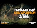 theHunter: Call of the Wild Хиршфельден - Свободная охота МИФИЧЕСКИЙ БЛАГОРОДНЫЙ ОЛЕНЬ