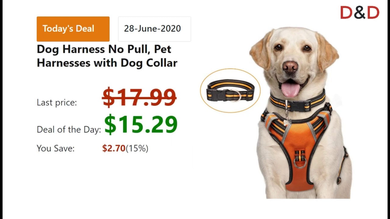 AMAZON Today Deals Pet Supplies Deals 28JUNE2020 10 To 50