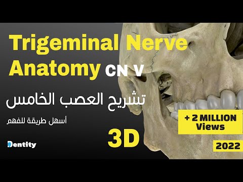 أسهل طريقة لحفظ العصب الخامس | Trigeminal Nerve CN V