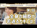 今すぐ知りたい！全身の細胞が若返るカギ２つのキーワード「サーチュイン」「オートファジー」｜九州大学片倉喜範先生｜