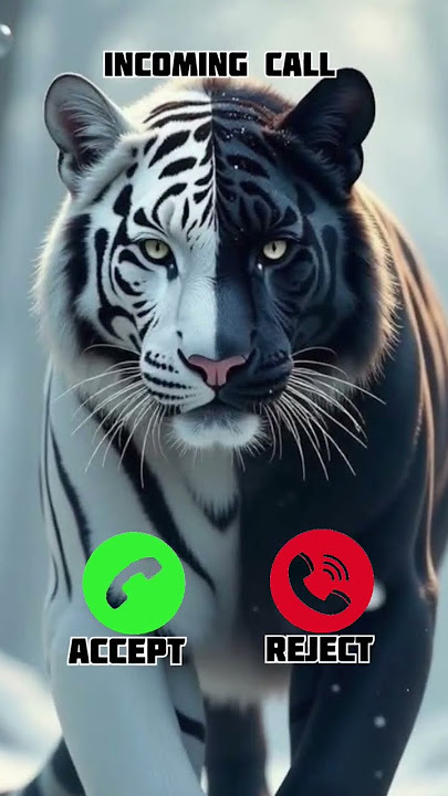 Hello Moto 📱 🤗👋👋 #smartphone #ringtone #ringtones #hellomoto #moto #mobile