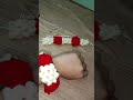 Crochet cute gajry 🏵️#crochet#handamde#gajry# wania Crochet Corner