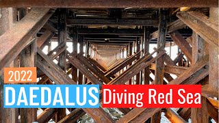 Diving Red Sea: Brothers, Daedalus, Elphinstone