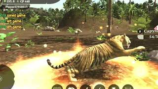 Danger lion Hunting video//Lion Hunting game screenshot 4