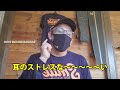 ROHオリジナルマスク