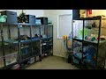 Pet Room Tour! (2017) || Vlog