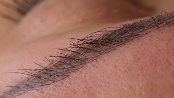 DUST - Manual Eyebrow Shading combo with Microblading