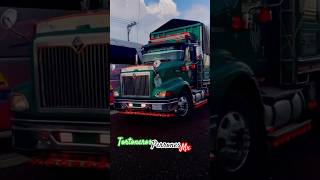 Con Puro Freno De Motor Llegando El Mamalon Torton Internacional