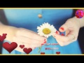 شيلة عينش خدودش أداء ناصر العيافي و محمد العيافي