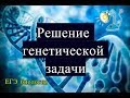 РЕШЕНИЕ ГЕНЕТИЧЕСКОЙ ЗАДАЧИ | ЕГЭ БИОЛОГИЯ | Задание 28