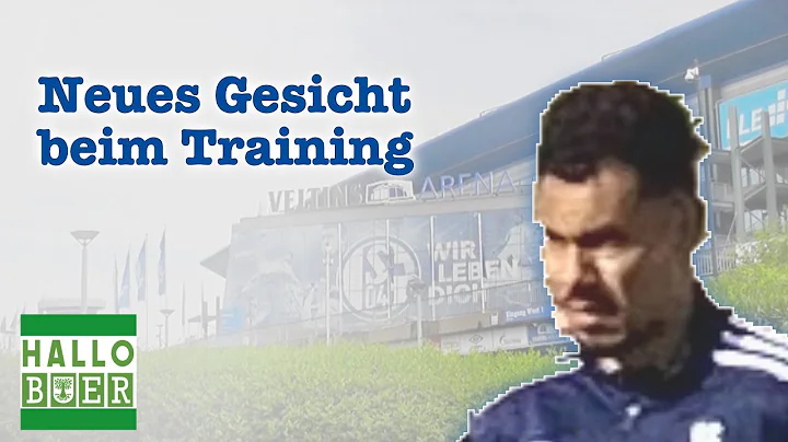 Schalke 04: Verteidiger Timothe Kolodziejczak als ...