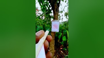 diy dart board & needle✌️ |shorts