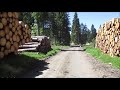 Wanderung ab Waldgaststätte Polsterbergen , Hirschler Teich und nach Clausthal Zellerfeld