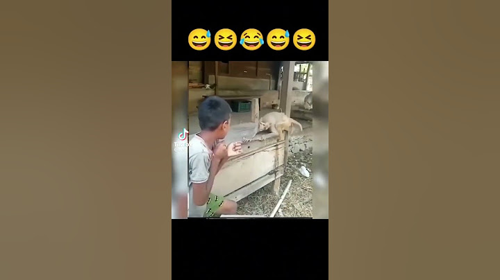 MONO VS HUMANO #caraternak #pelear #animals #monos #niños #parati #humor