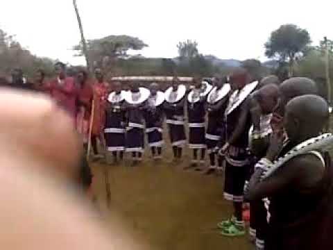 UTAMADUNI MORANI WA KIMASAI WAKICHEZA NGOMA ZA KITAMADUNI