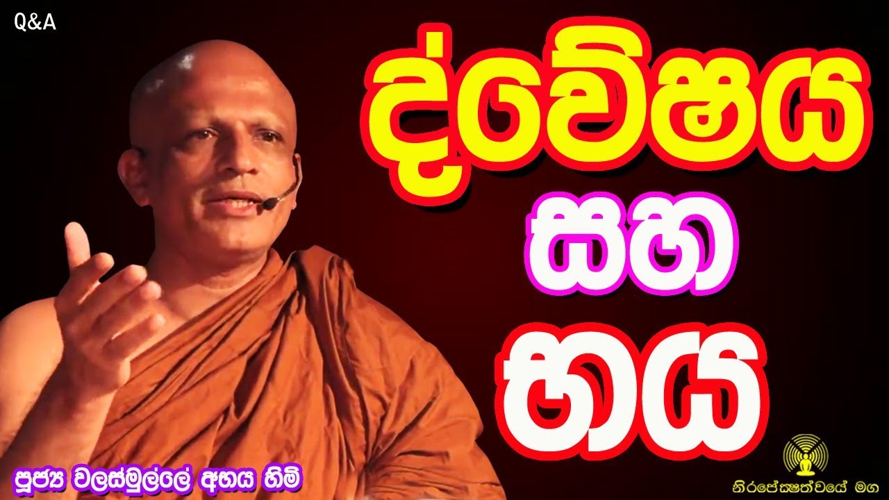 ► ද්වේෂය සහ භය