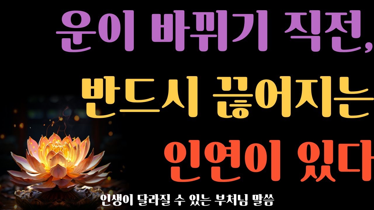 운이 바뀌기 직전, 반드시 끊어지는 인연이 있다ㅣ부처님 말씀ㅣ복이 들어오는 전조ㅣ인연의 법칙ㅣ이별의 의미