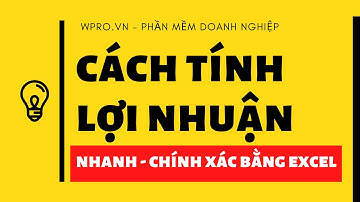 Cách tính lợi nhuận, Mẫu báo cáo lợi nhuận và 2 sai lầm chính khi tính lợi nhuận