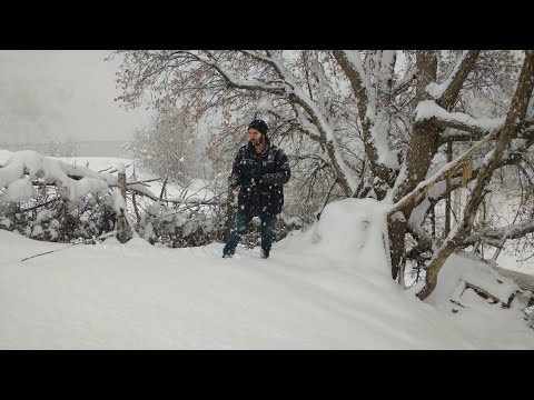 Kara kışta yaşam mücadelesi 🌨️ hayvanlar için kar soğuğunda mücadele belgeseli 🌨️#köyhayatı#belgesel