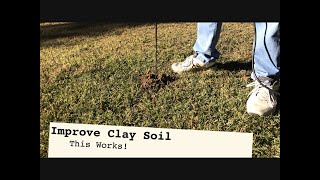 IMPROVE CLAY SOIL  5 Step Strategy to better grass growth and drainage