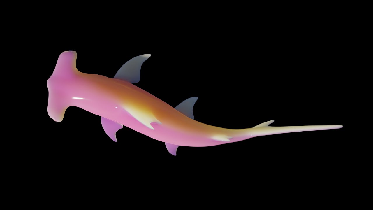 Baby Hammerhead Shark (Diorama) YouTube