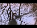 Telrae mixed by Salz Vol. 3 (Telrae M-003)