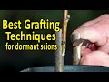 BEST Grafting Techniques using DORMANT SCIONS | Grafting Fruit Trees