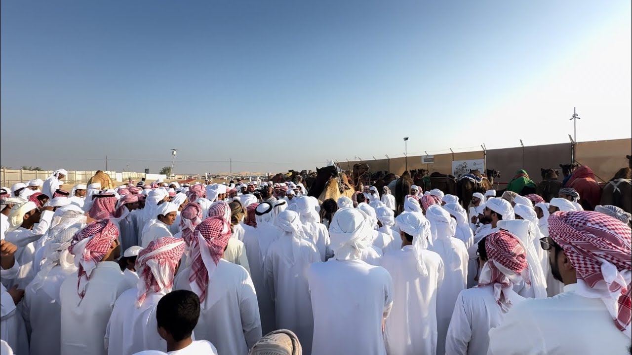 مزاينة رزين اليوم الثالث دخول الحقايق مجاهيم والمحليات الاصائل