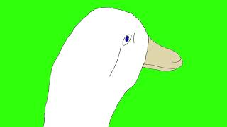 10% Duck Green Screen