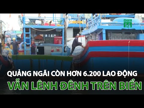 Video Quảng Ngãi: Hơn 6.200 lao động còn lênh đênh trên... - youtube