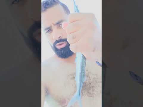 سمكة أبو سيف الدلفين الصغير عالم البحار مع امير البحار وسامحوني ع الهبد
