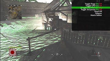 Modded W@W Multi player mod menu