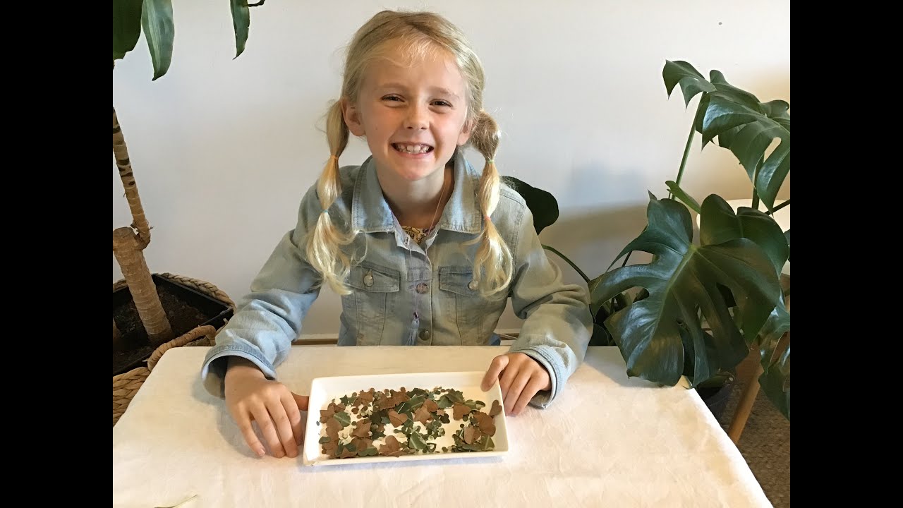 Wild Kindling   Nature confetti