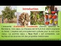 SERIE DE WEBINAIRE SCIENTIFIQUE DU CICC ( 4e Session )