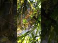 Прохладная водичка!