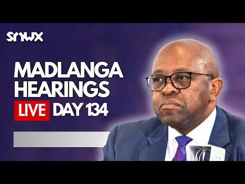 Anti-corruption expert appears before Madlanga Commission