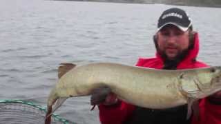 Ontario Muskie Fishing Documentary Teaser