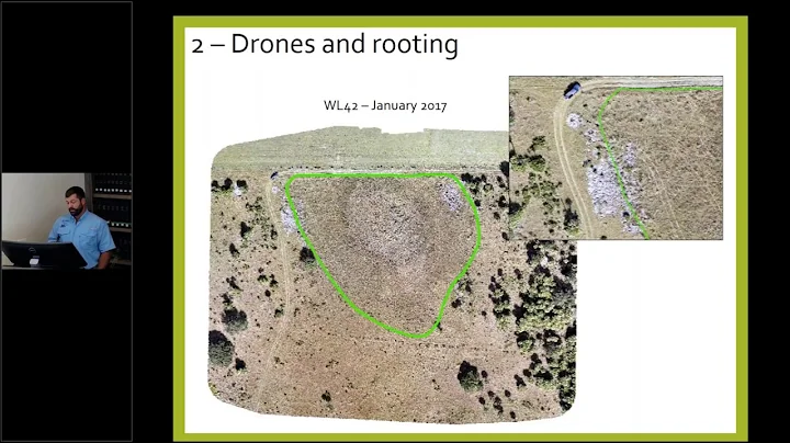 Impact of wild pigs on wetlands and aquatic communities across a Florida rangeland -  Wes Anderson