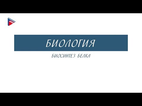 Видеоурок 10 класс биосинтез белка