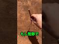 荒野で迷子になった時の対処法