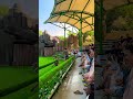 Chú chim nhảy thật dễ thương #cute #birds #chill #funnyshorts #funnyshorts #funnyvideo #funny