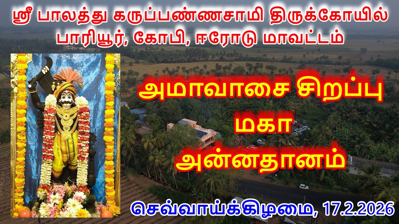 அமாவாசை சிறப்பு  மகா அன்னதானம் செவ்வாய்க்கிழமை(17.2.2026) ஸ்ரீ பாலத்து கருப்பண்ணசாமி திருக்கோயில்