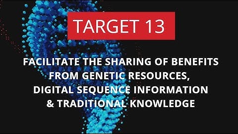 Transformative actions needed to impement the KMGBF Target 13!