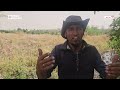 مزارعو دير الزور يسارعون لإنقاذ محاصيلهم ومواشيهم من فيضان "الفرات"